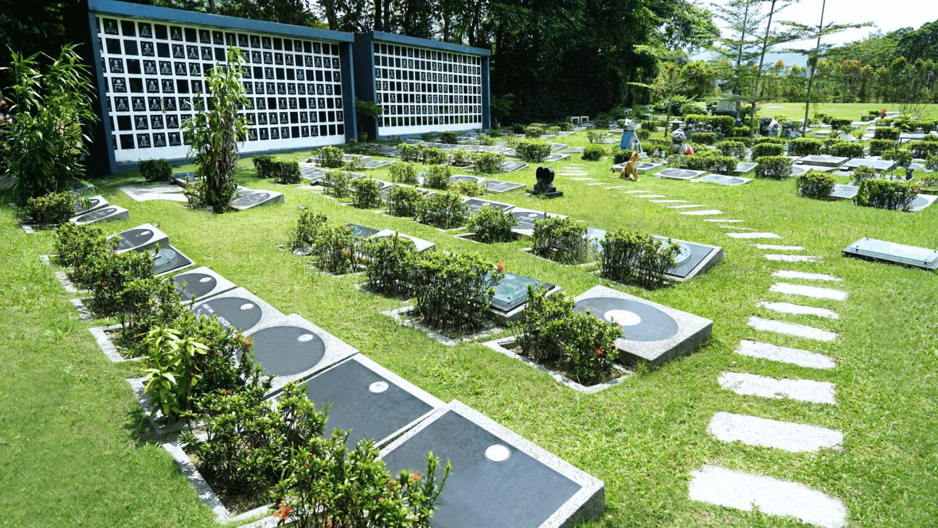 service-pet-memorial-01