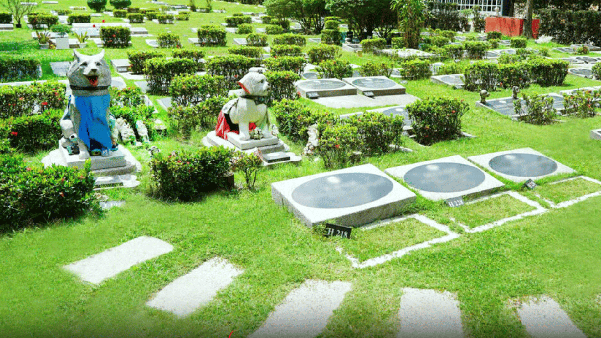 service-pet-memorial-02